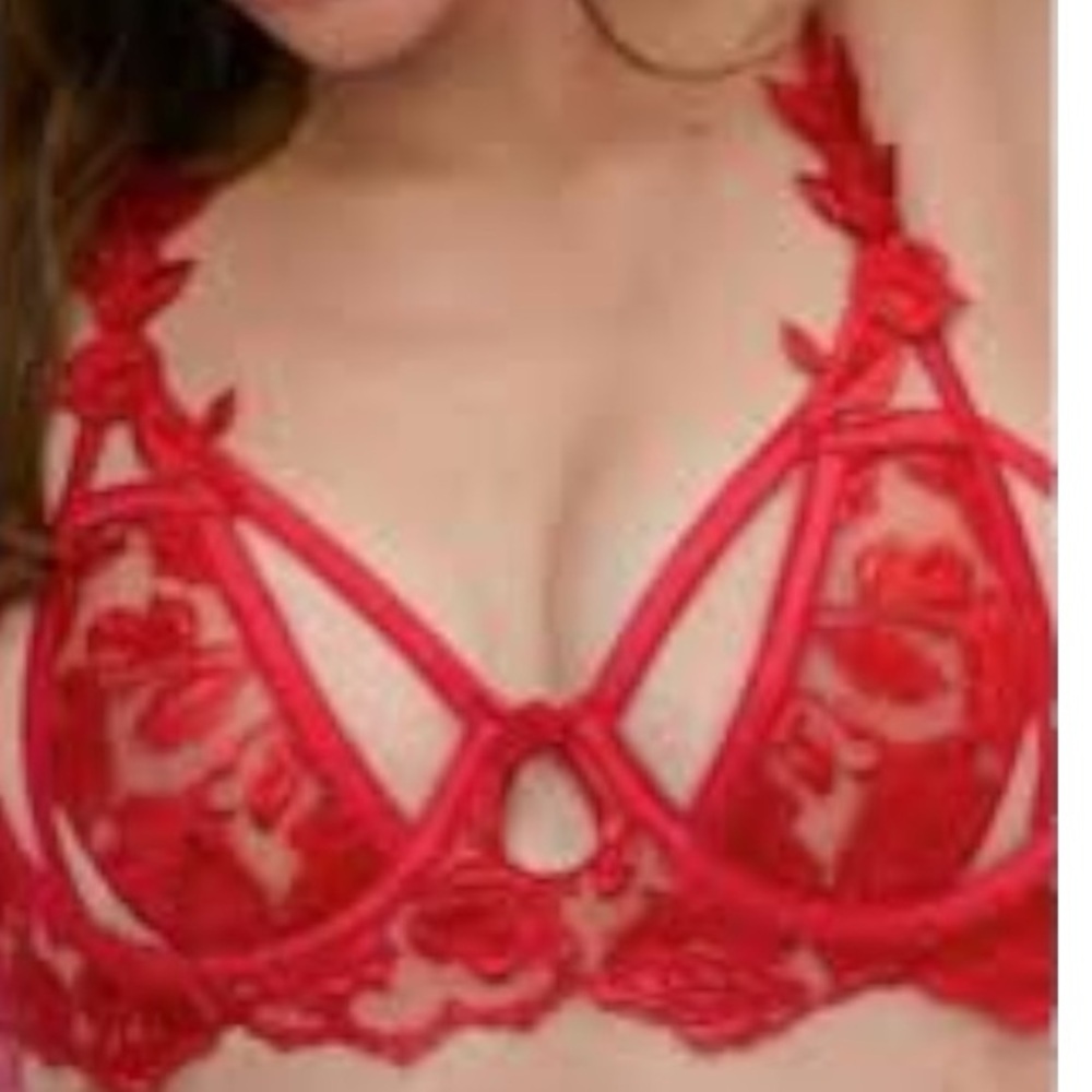 For Love & Lemons x Victoria’s Secret Romantic Roses Underwire Bra Red XS NWOT 🌹